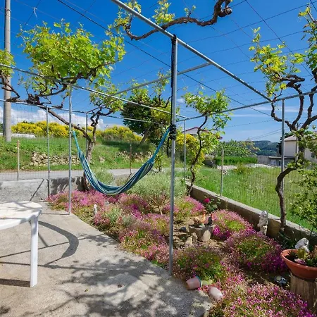 Bigterrace Apartman *